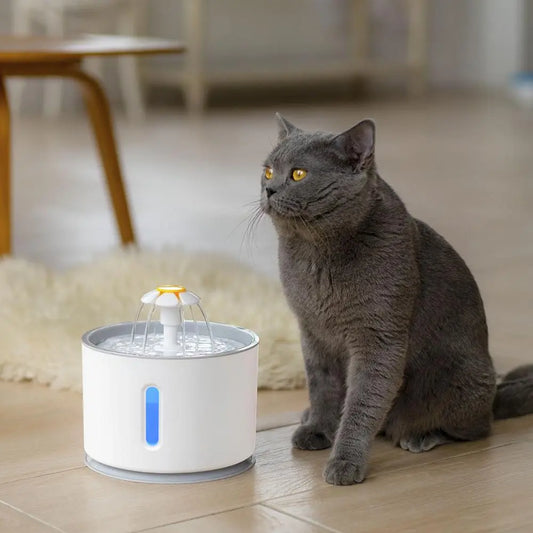 LED Pet Water Fountain